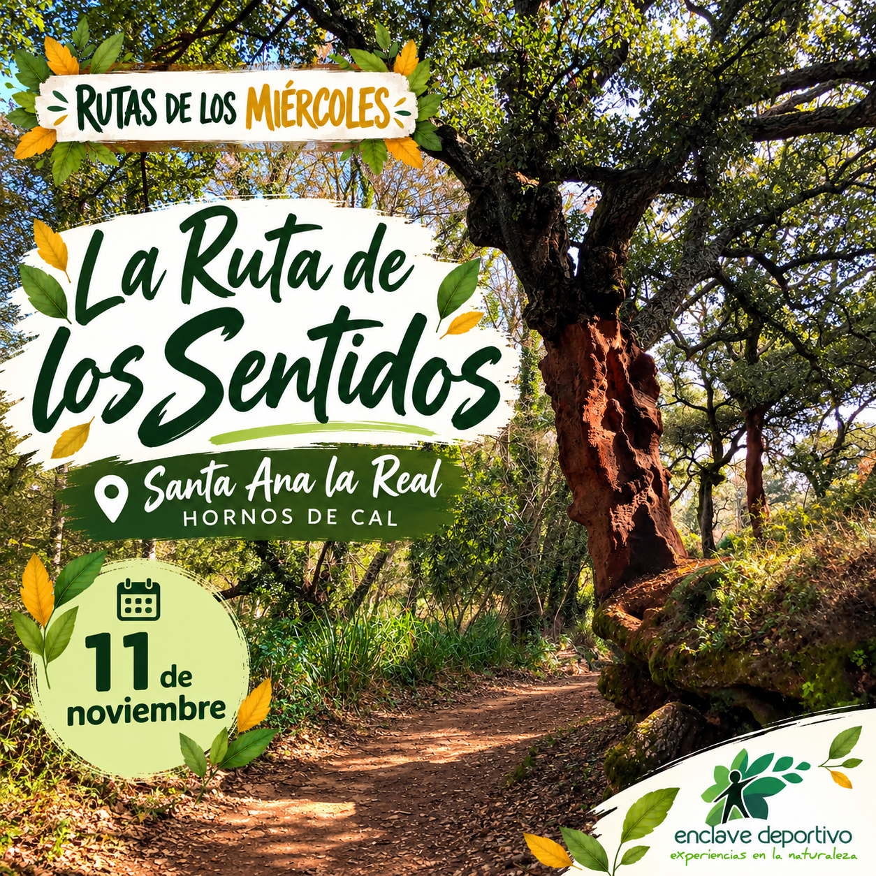 Ruta de los Sentidos en Santa Ana (1)